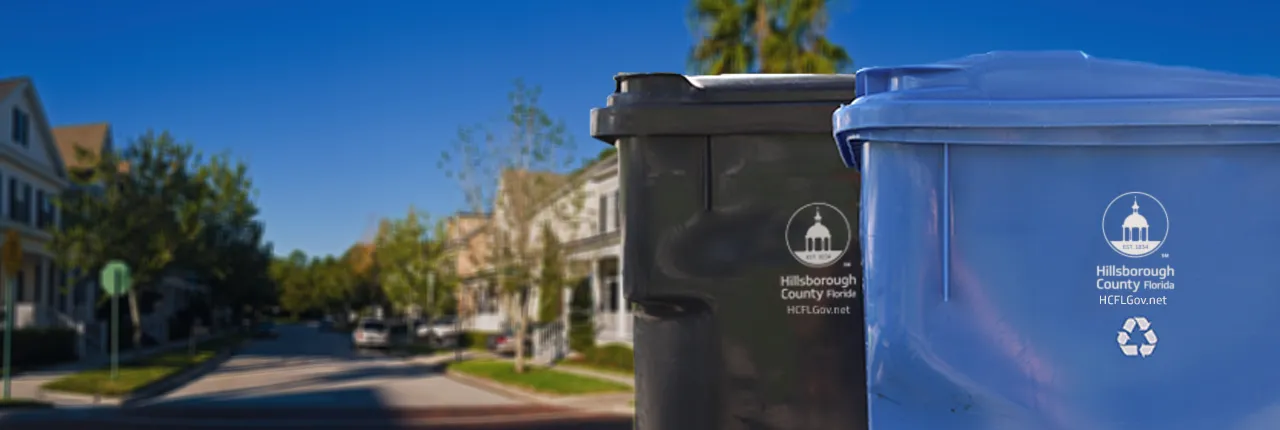 Top 5 Ways to Get Rid of Junk in Lutz, FL,