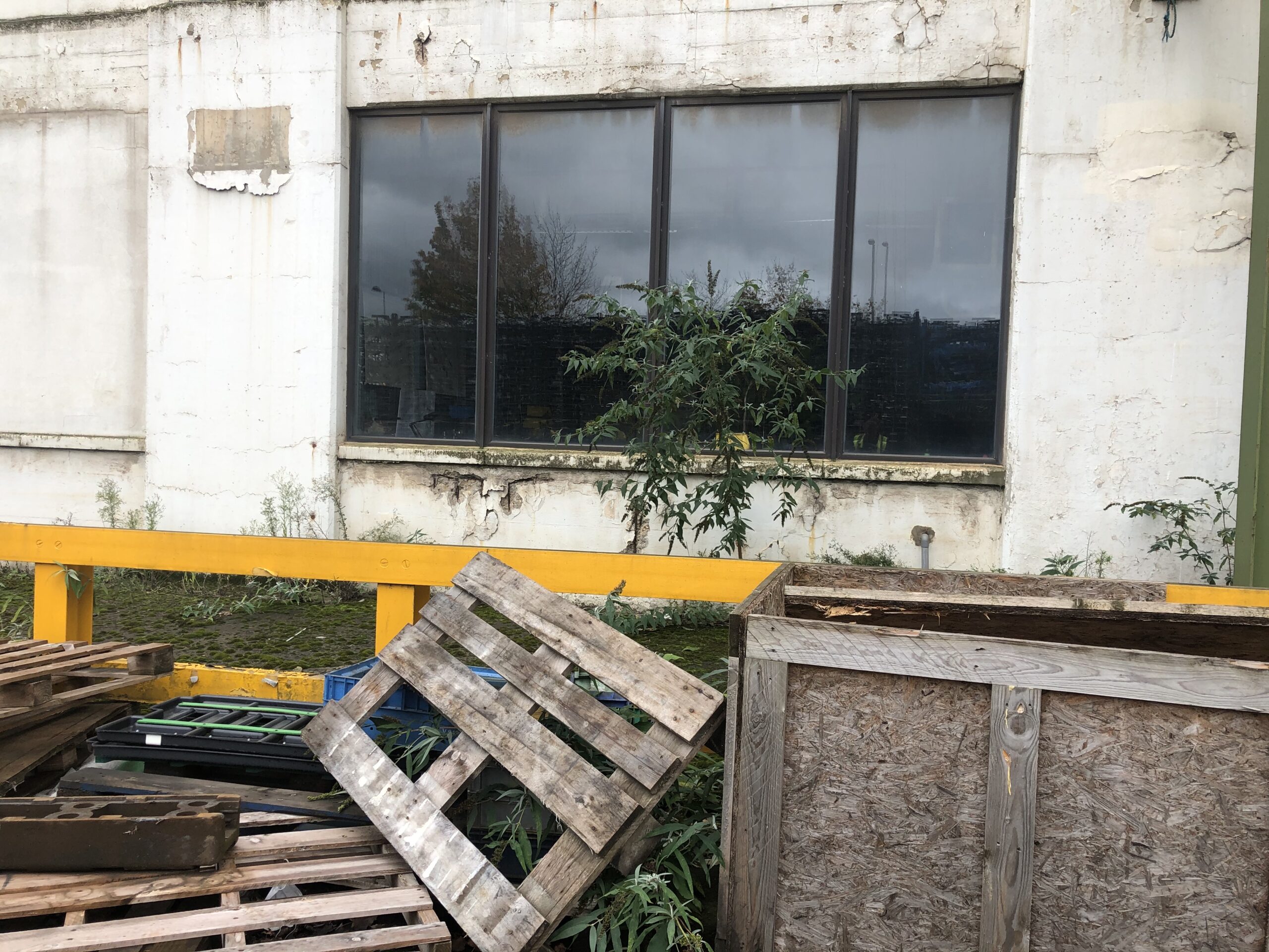 Top 5 Ways to Get Rid of Junk in Lutz, FL