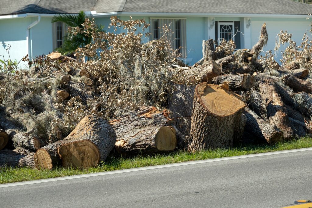 Junk Removal Services in Lutz, FL | Fast & Affordable Hauling, Book Your Junk Removal Service in Lutz, FL, Piles of tree rubbish on road side for recovery truck pickup after hurricane in Florida