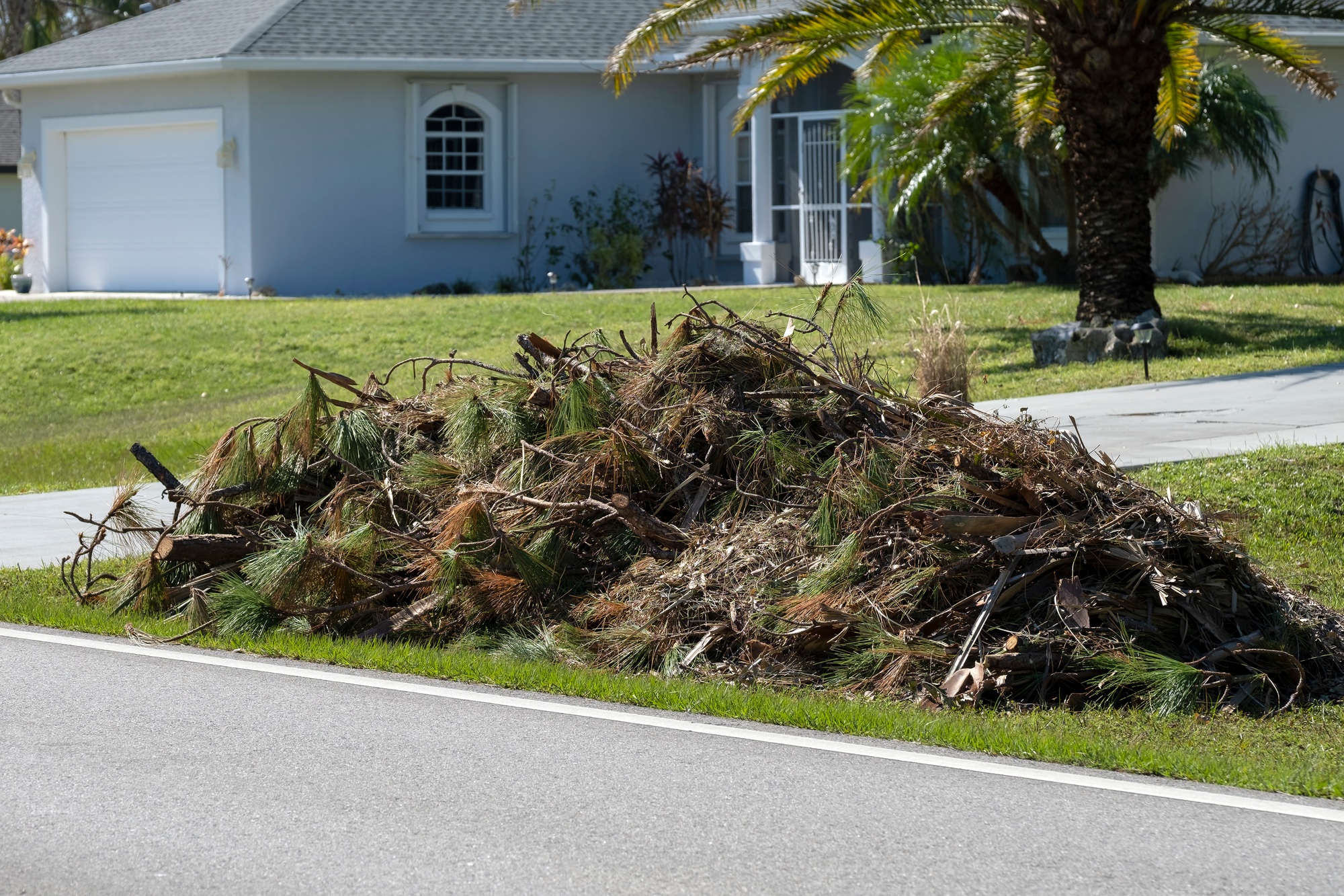 Piles of tree rubbish on road side for recovery truck pickup after hurricane, Junk Removal Estimate in Tampa, FL | Free & Fast Quotes, Get Your Junk Removal Estimate in Lutz, FL, What Junk Removal Services Take Grass Clippings and Tree Limbs