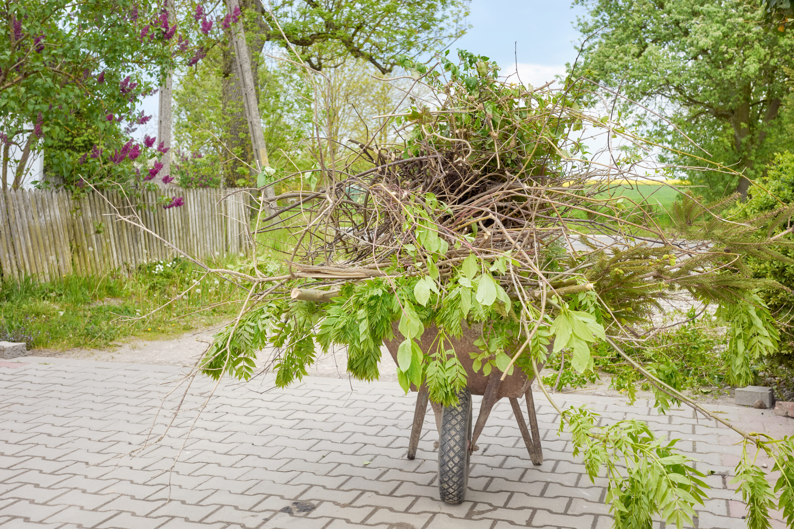 Yard Waste Disposal in Tampa: A Local’s Complete Guide