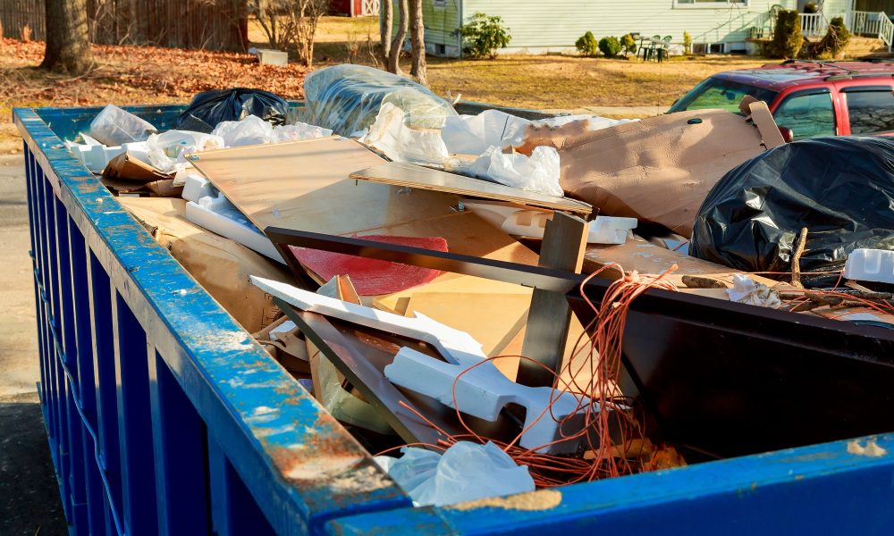 Yard Waste Removal in Tampa, FL