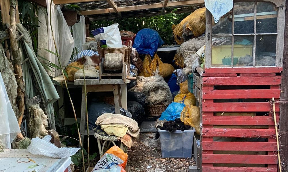 Estate Cleanout in Lutz, FL