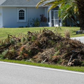 Piles of tree rubbish on road side for recovery truck pickup after hurricane, Junk Removal Estimate in Tampa, FL | Free & Fast Quotes, Get Your Junk Removal Estimate in Lutz, FL, What Junk Removal Services Take Grass Clippings and Tree Limbs